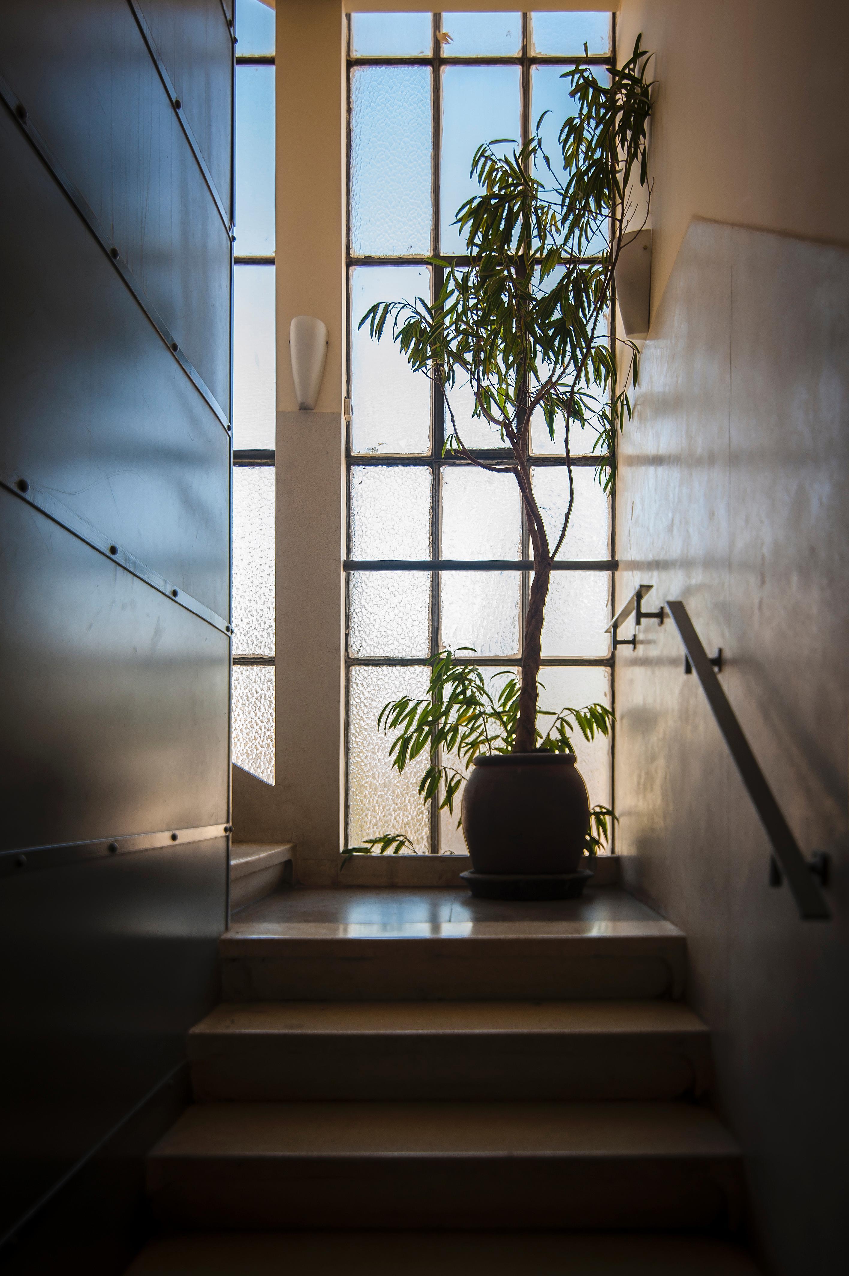 Satori Hotel Haifa Luaran gambar